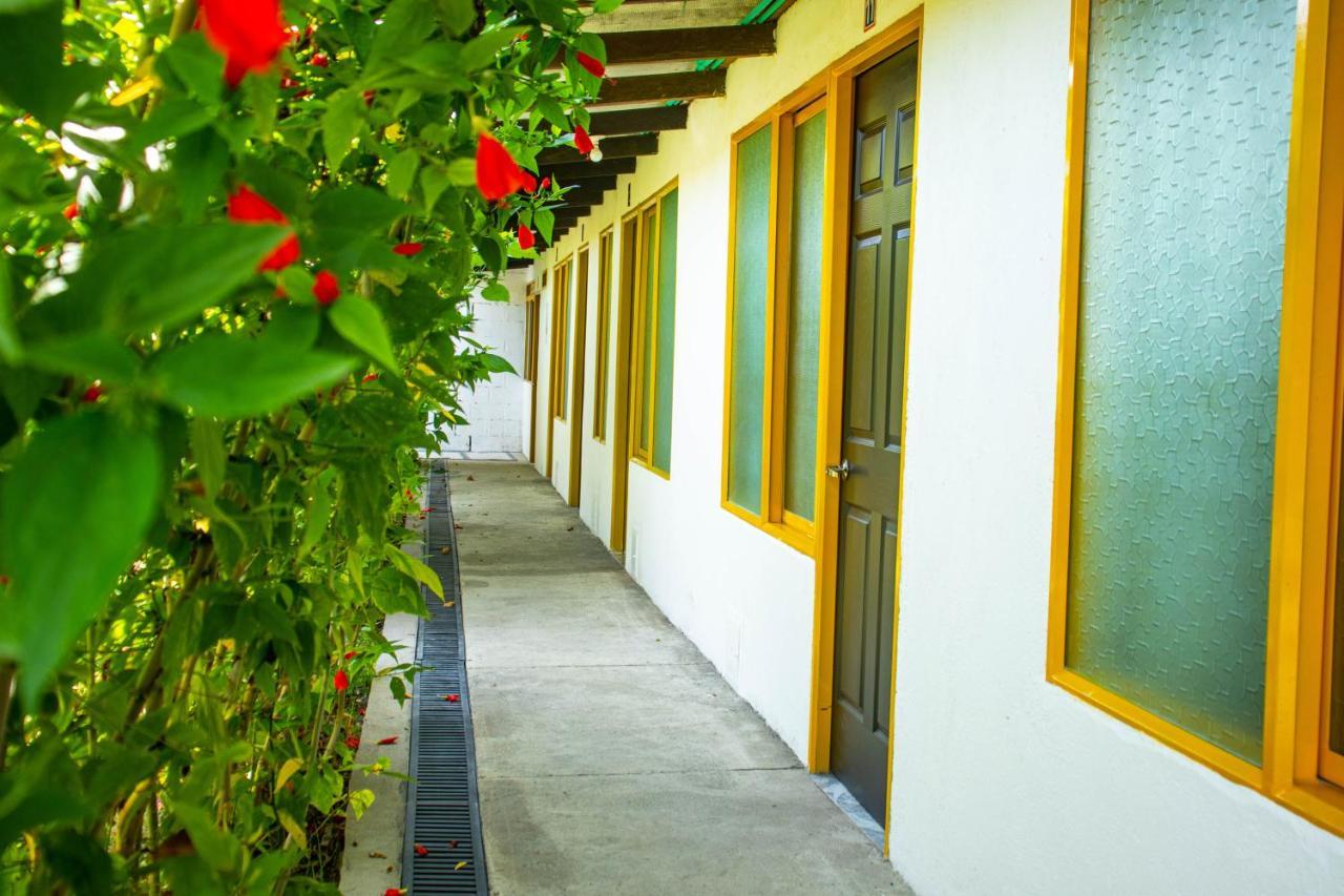 Hotel Villa Bosco Palmira  Eksteriør billede